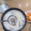 큰솥설렁탕 | 원주 맛집 가족식당 어르신들 줄 서는 봉화산설렁탕