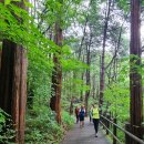 청계 맑은숲공원 이미지