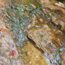 대동사 약수터 이미지