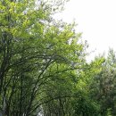 서인공원 이미지