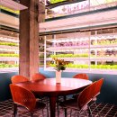 센트럴팜 이미지