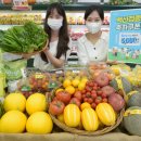 고객할인마트 경향신문