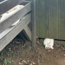 유동룡미술관 이미지