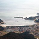 남해편백자연휴양림(남해) 이미지