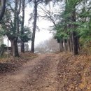 검암산(중간) 이미지