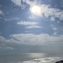 아리시장약국 이미지