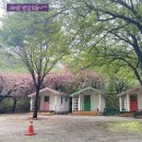 문경 미산가족오토캠핑장 차박, 당일 봄소풍, 캠핑후기