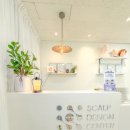 스킨N스칼프 이미지