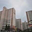 신세대하이빌 네이버블로그