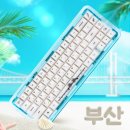 (주)소프트아쿠아 이미지