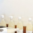 경주식당
