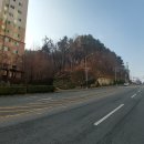 남구-161 이미지