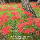 한양당구장 이미지