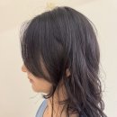 헤어셋틀러 이미지