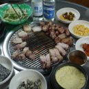 탐라도니 이미지