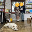 콴도제주 이미지