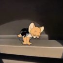 코딱지 당구장 이미지