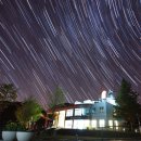 반딧불이 이미지