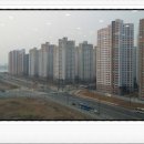 배곧로자벨프라자 네이버블로그