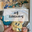 스위티시카빙 티스토리
