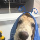 멍즈니랜드 이미지