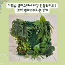 가드닝 클래스에서 이걸 만들었어요 | 조화 월데코레이션 후기