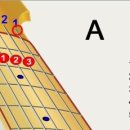 코드그림 이미지
