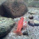 거북이가든 | 고양 아쿠아가든 후기｜주차 넓고 빵·음료 많고 사진 잘 나오는 꿀팁까지 📸