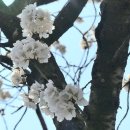 나산 이미지