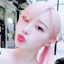 클린드림