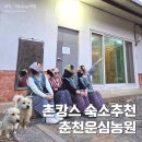 농원민박 | 춘천운심농원 우정여행 춘천 숙소 추천 강아지 김장조끼 가마솥뚜껑삼겹살 모두 갖춘 시골 감성 촌캉스...
