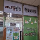 대구근교 실내 동물원 구미 &#39;애니멀랜드&#39; 방문 후기