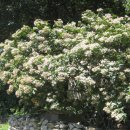 입암리경로당 이미지