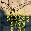 택스디자인세무회계 이미지