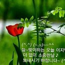인연가 이미지