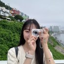 기암유치원 | 스토리 투어버스로 흰여울문화마을 등 영도의 유명 여행지 하루만에 즐기기 (할인, 코스별 후기 총정리)