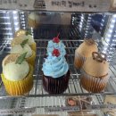 썬 크림(Sun Cream) | 도시 카페] N번째 방문중인 충북혁신도시 수제 케이크 맛집 썬,크림 내돈내산 후기(반려동물🐕‍🦺동반 카페)