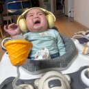 마이온네이처 | 6개월 아기랑 괌 여행 준비 #2, 아기준비물 사기, 해외여행 준비물 리스트 내돈내산 총 정리