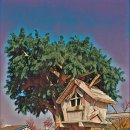 포니랜드 이미지