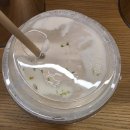 끝까지과일 | 헤이티 자스민 레드구아바 후기 | 끝까지 마셔야 보이는 맛