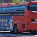 대진여행사
