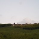 공공용 44 이미지