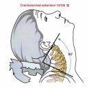 기본 필라테스&피티# 이미지
