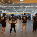서산주짓수, 다이어트와 호신술까지! MMA STORY 서산에서 운동 시작 후기