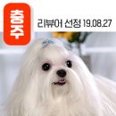 견궁 이미지