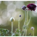 은영세탁소 이미지