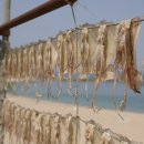 고성부부횟집 이미지