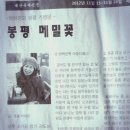 봉평메밀밭 이미지