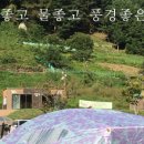 금수문화공원야영장(1) 이미지