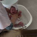 대전 산후도우미 추천 위드맘케어 이용 후기